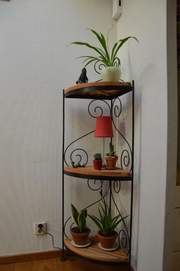 トルホウト'T Bloemetjeアパートメント エクステリア 写真
